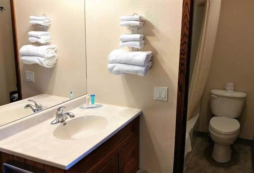 汽车旅馆  Red Carpet Inn  Windom