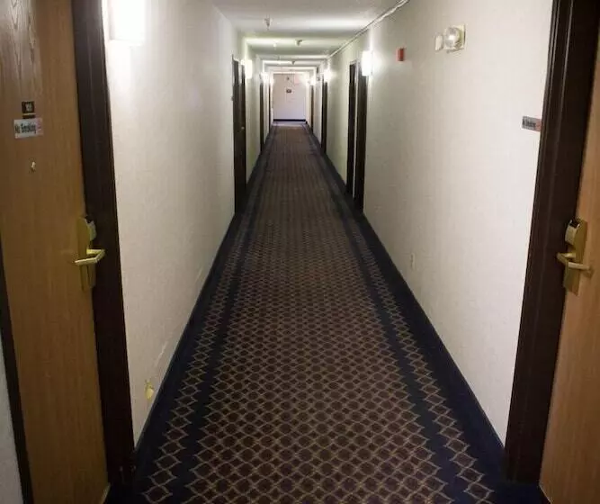 汽车旅馆  Regency Inn & Suites