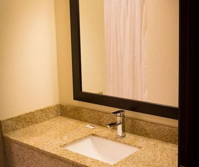 汽车旅馆  Regency Inn & Suites