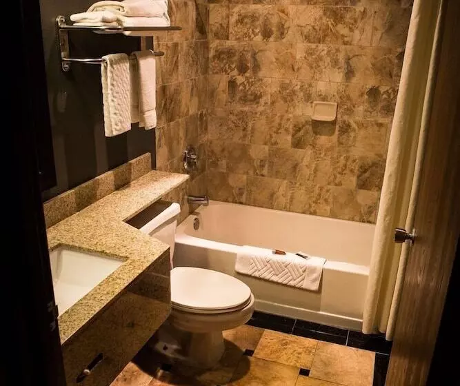 汽车旅馆  Regency Inn & Suites