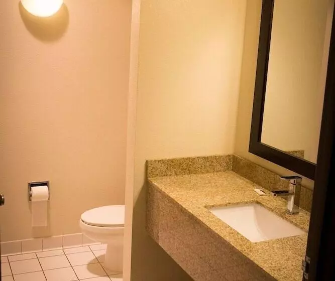 汽车旅馆  Regency Inn & Suites