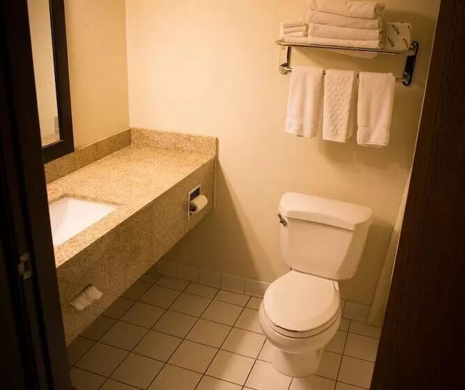 汽车旅馆  Regency Inn & Suites