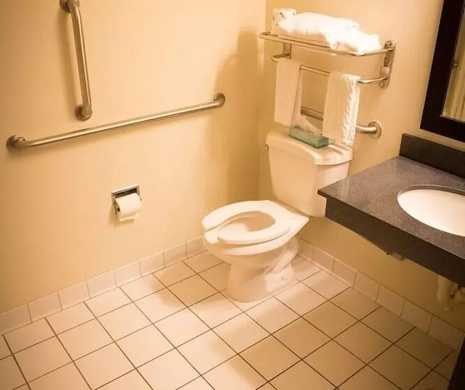 汽车旅馆  Regency Inn & Suites