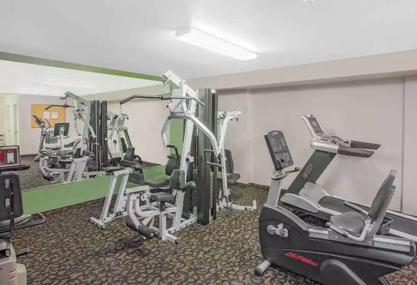 汽车旅馆 Super 8 By Wyndham Barstow