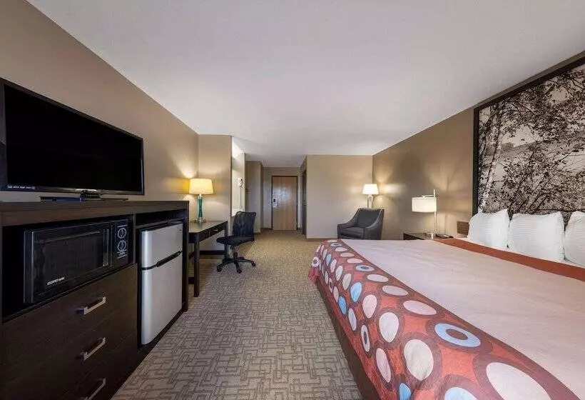 모텔 Super 8 By Wyndham Jackson Mn