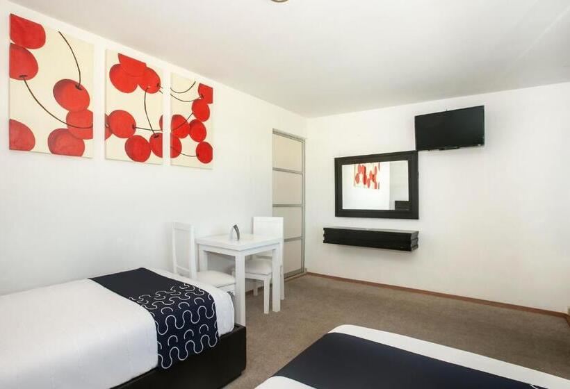 ホテル Euro Confort,pachuca