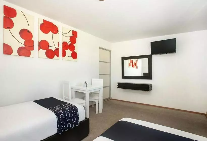 Hotelli Euro Confort,pachuca