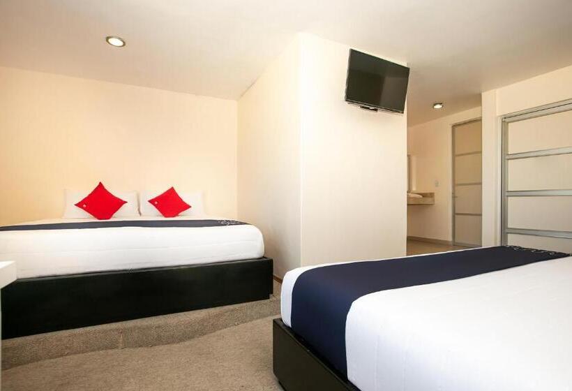 ホテル Euro Confort,pachuca