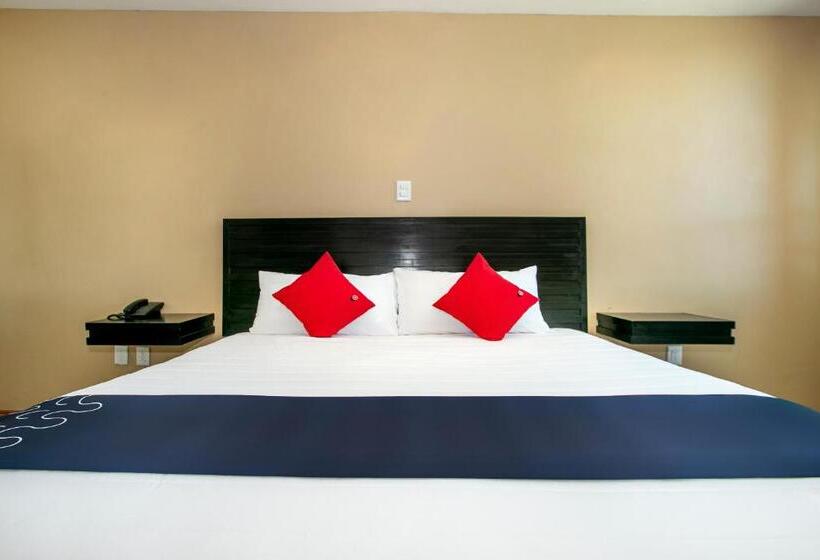 ホテル Euro Confort,pachuca