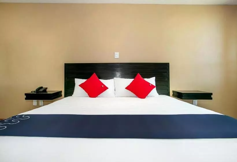 Hotelli Euro Confort,pachuca