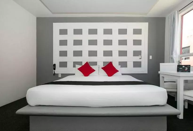 Hotelli Euro Confort,pachuca