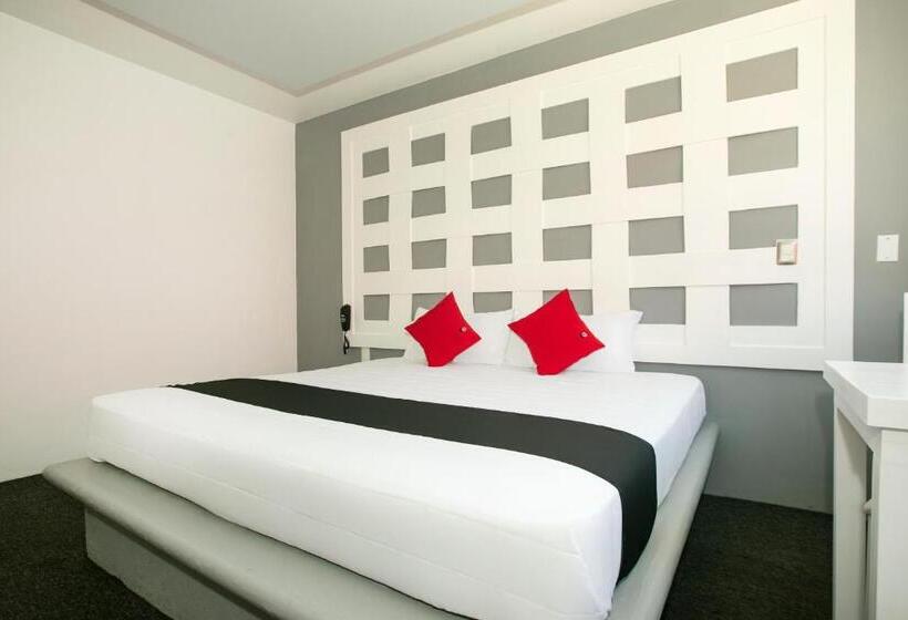 ホテル Euro Confort,pachuca