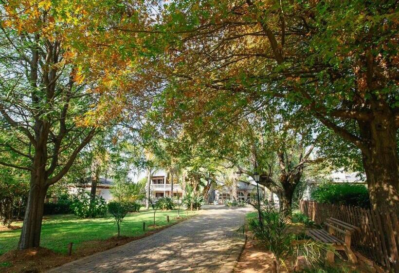 膳宿费 Golden Candle Guest House