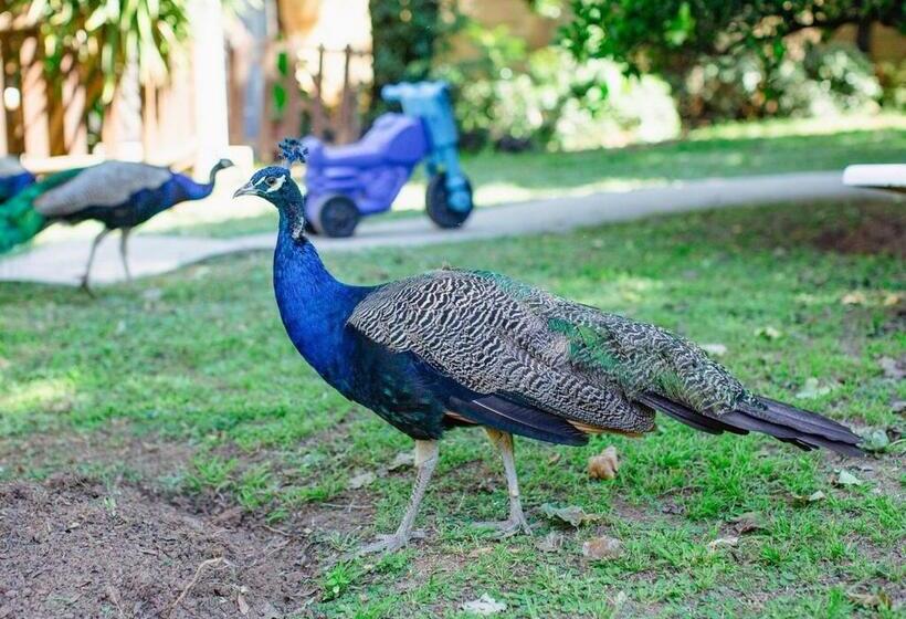 膳宿费 Golden Candle Guest House