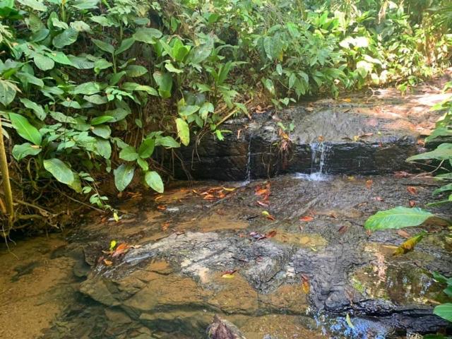 פנסיון Private Jungle “loft Del Rio” River Access