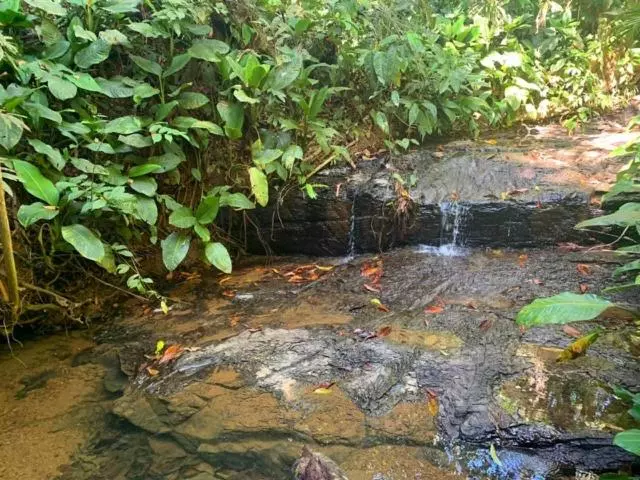 ペンション Private Jungle “loft Del Rio” River Access
