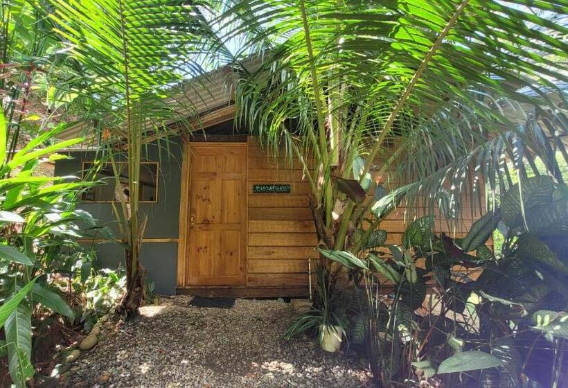 פנסיון Private Jungle “loft Del Rio” River Access