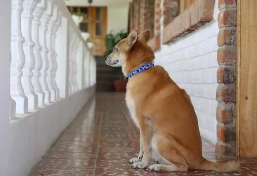 Hotelli La Posada Del Quinde