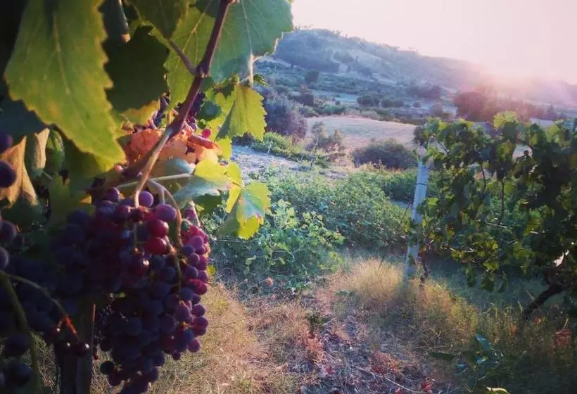 ホテル Agriturismo Feudo Gagliardi