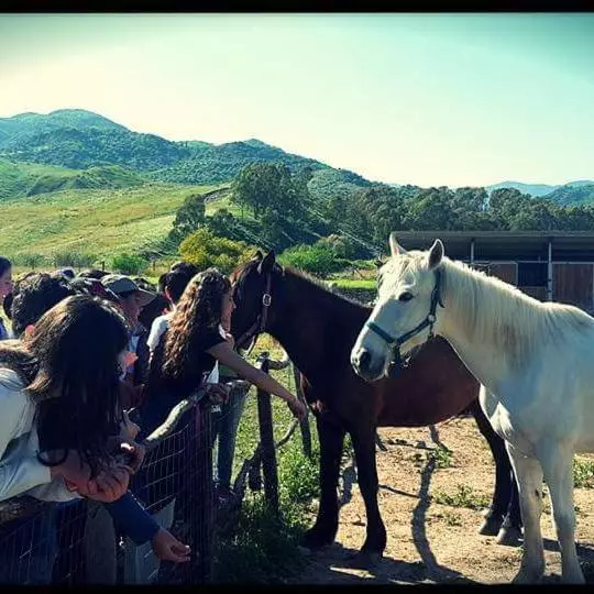 ホテル Agriturismo Feudo Gagliardi