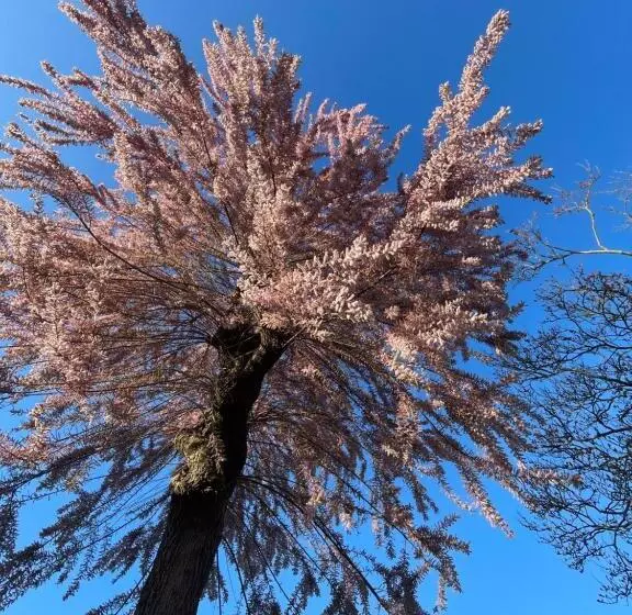 Majatalo Résidence Cosy