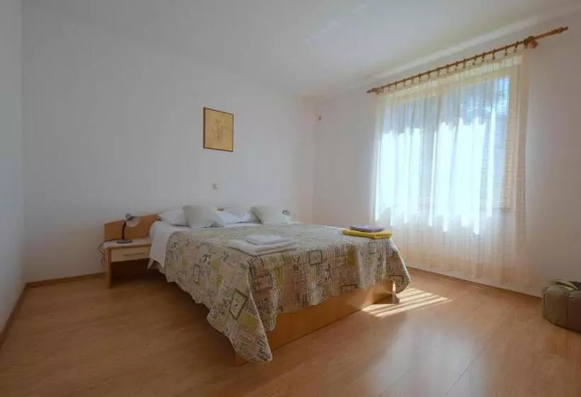Apartment Anica