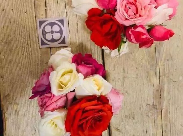 تختخواب و صبحانه Welchome   Guest Accomodation