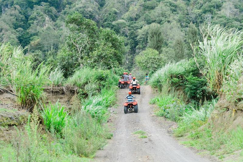 Bed and Breakfast Latengaya Mount Batur View Bungalow