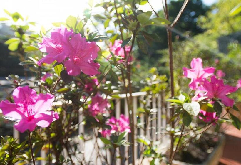 تختخواب و صبحانه Rio Boutique Suites