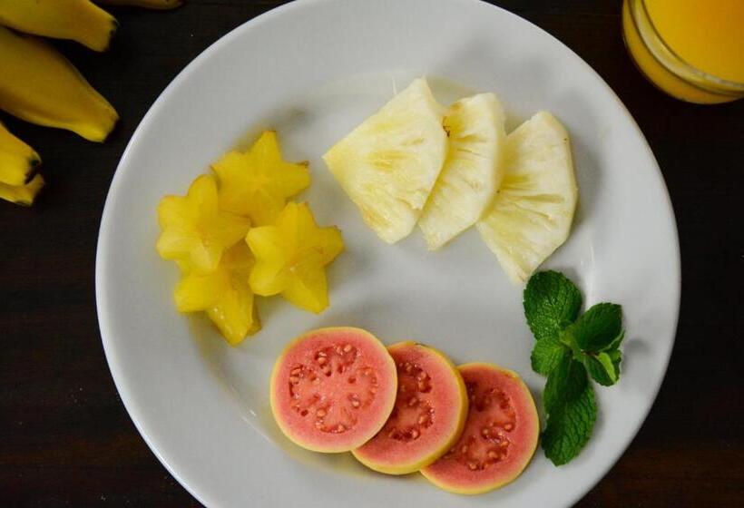 تختخواب و صبحانه Rio Boutique Suites