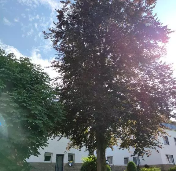 Ferienwohnung Marosa