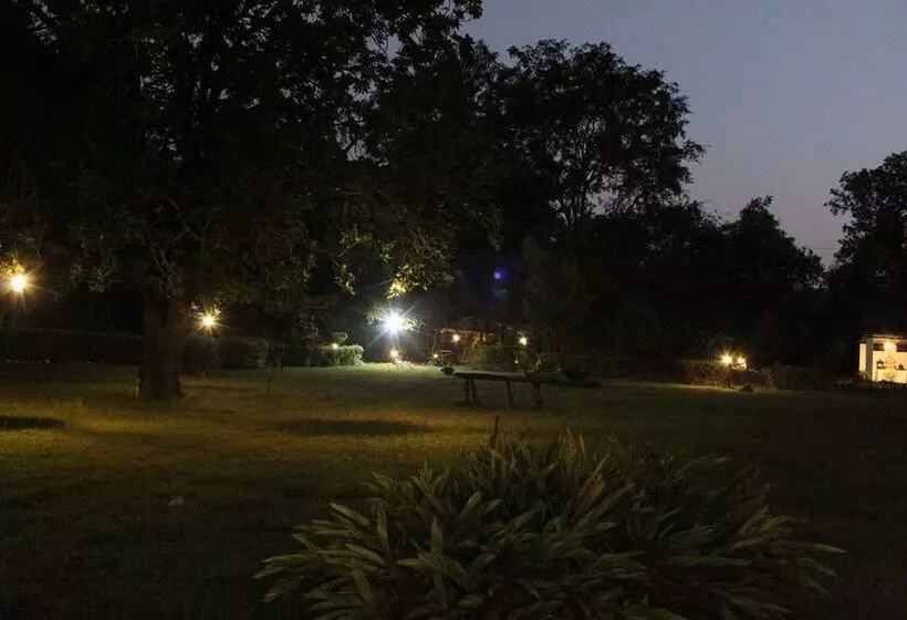 Tigers Villa Resort Bandhavgarh