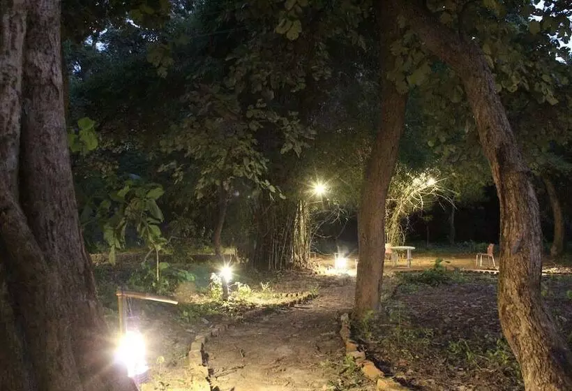 Tigers Villa Resort Bandhavgarh