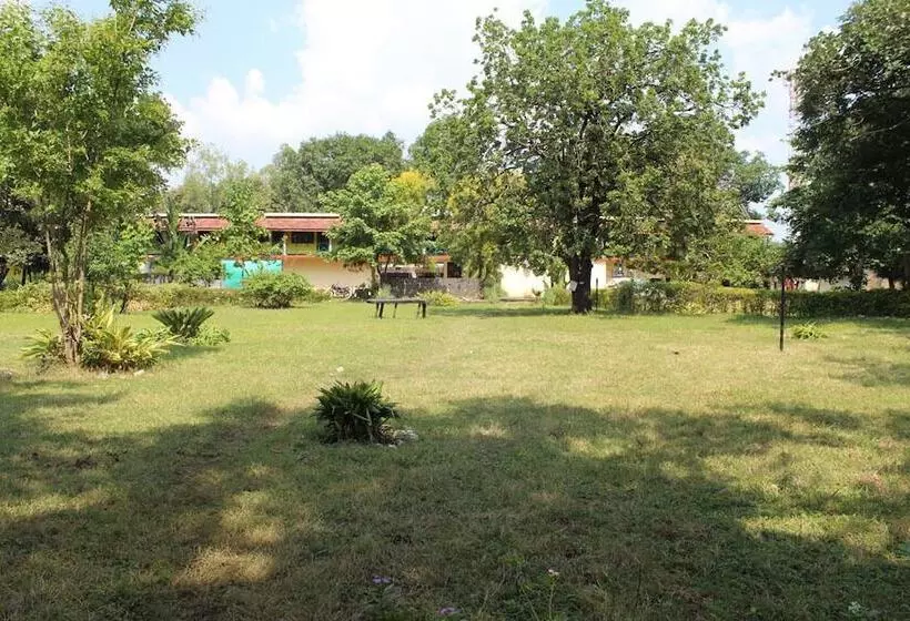Tigers Villa Resort Bandhavgarh