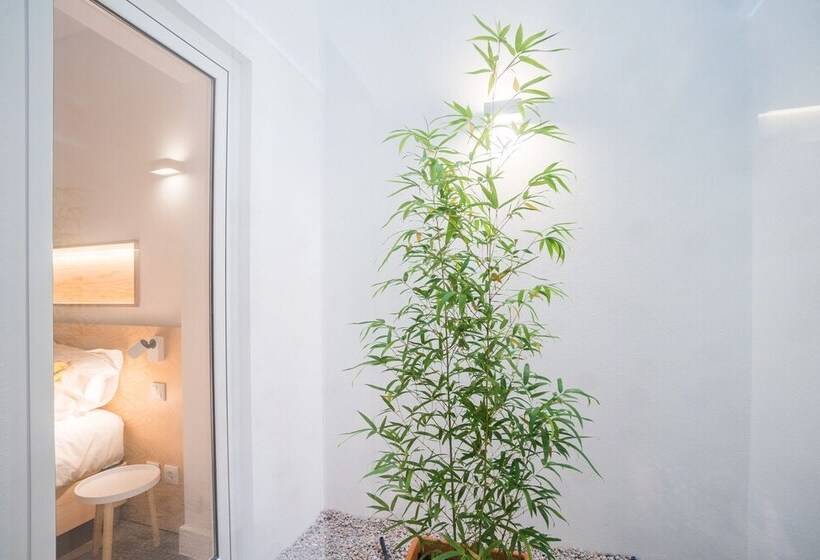 Wood Wall & Garden Apartment