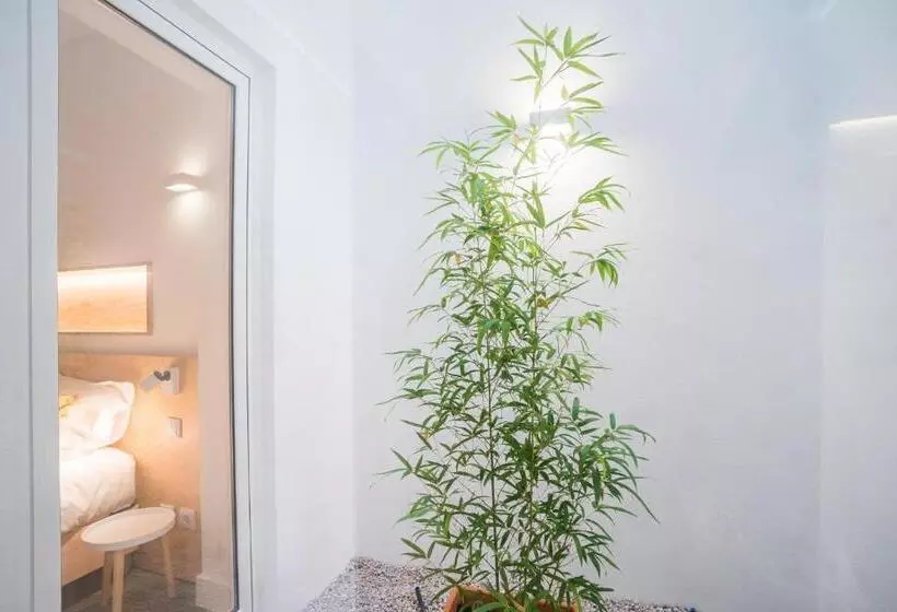 Wood Wall & Garden Apartment