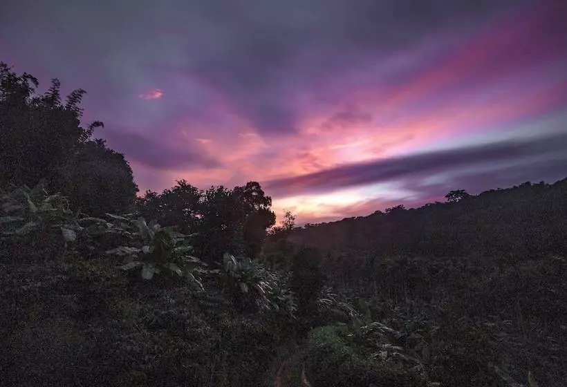 Hotelli Whispering Willows