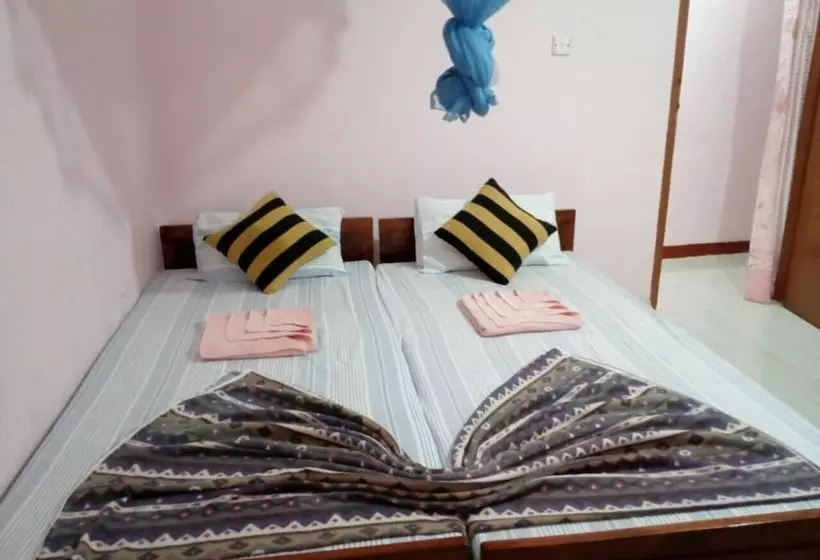 ペンション Lizzie Villa Guest House