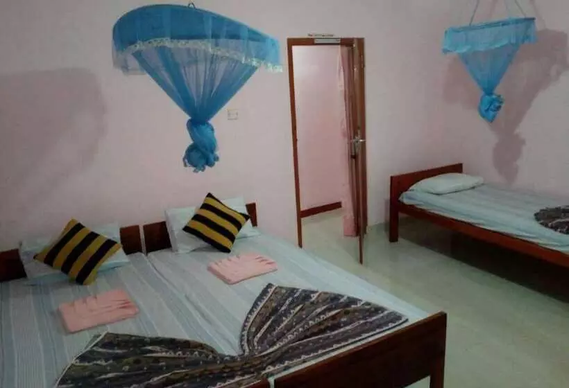 ペンション Lizzie Villa Guest House