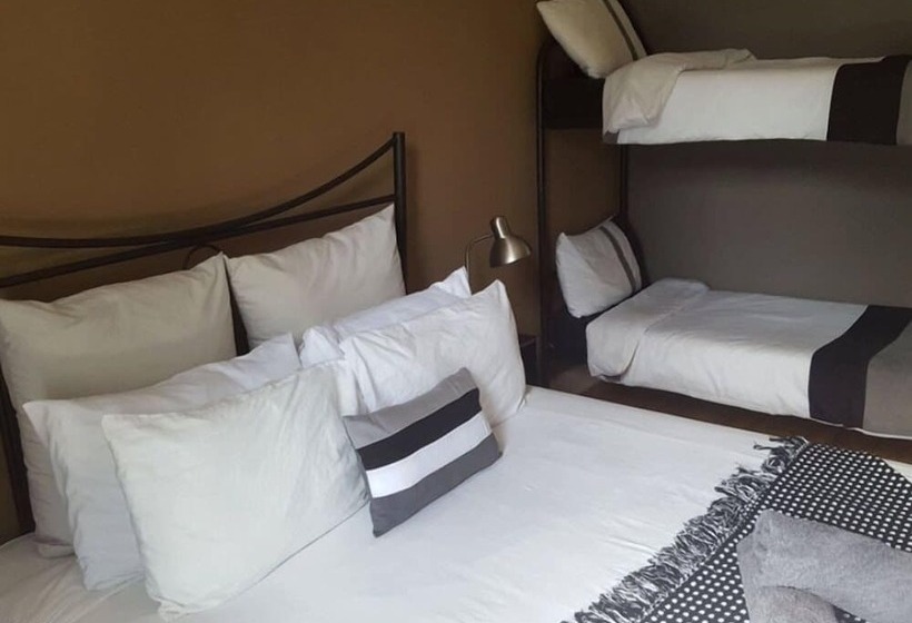 ユースホステル Stumble Inn Backpackers Lodge