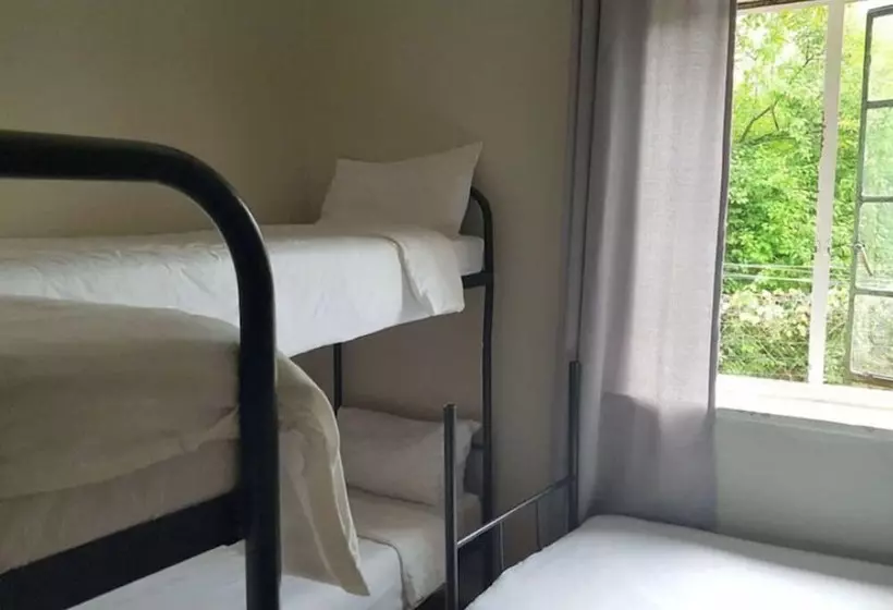 ユースホステル Stumble Inn Backpackers Lodge