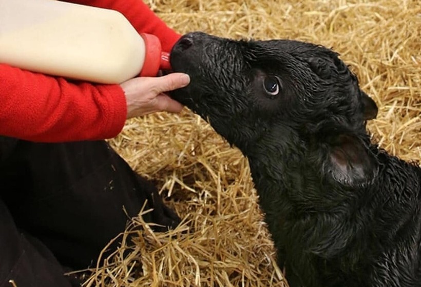 فندق Fairfield Inn & Suites By Marriott Fair Oaks Farms