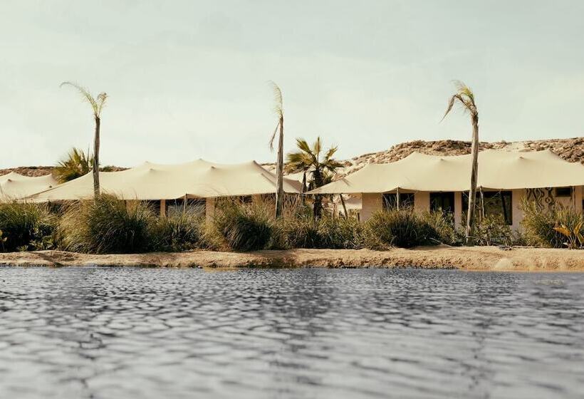 Отель Les Dunes De Dakhla
