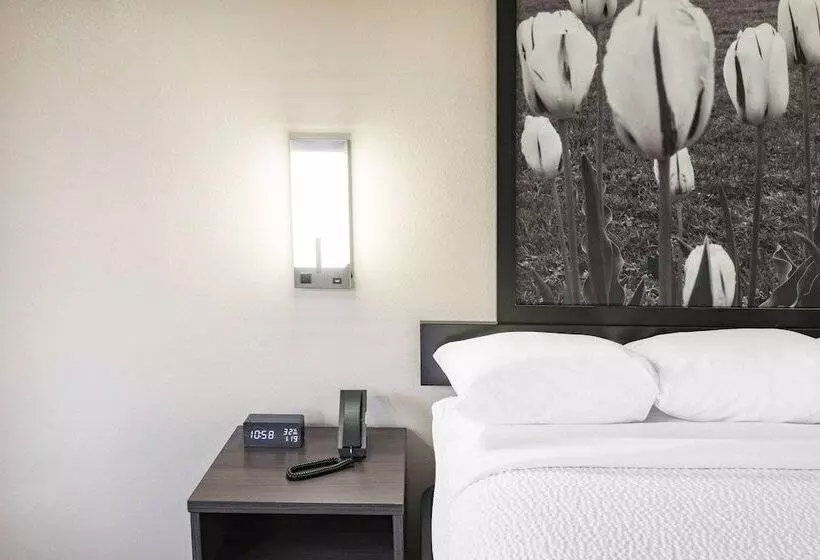 בית מלון כפרי Super 8 By Wyndham Charlottesville