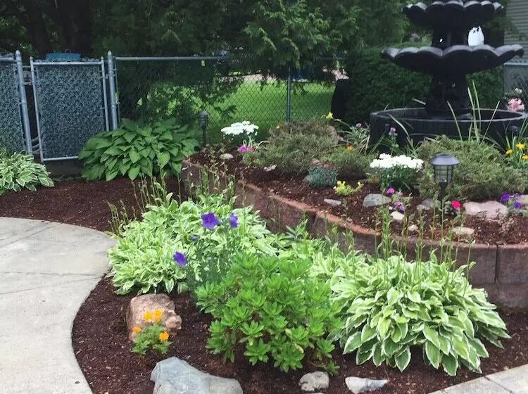 هتل T Bird Motor Inn