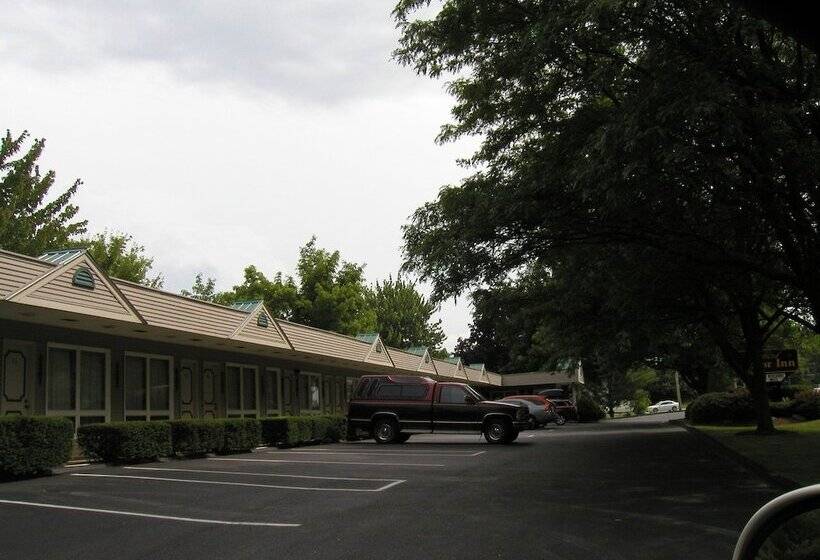 فندق T Bird Motor Inn