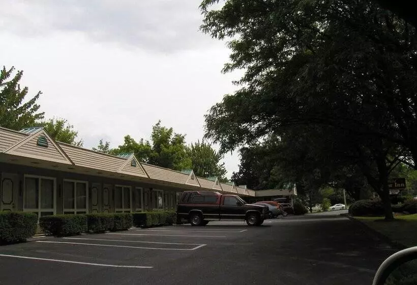 هتل T Bird Motor Inn