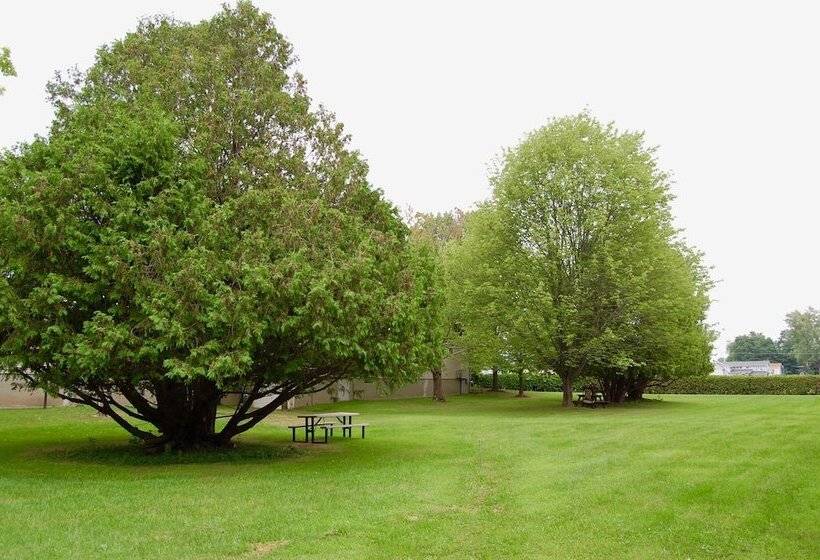 فندق T Bird Motor Inn