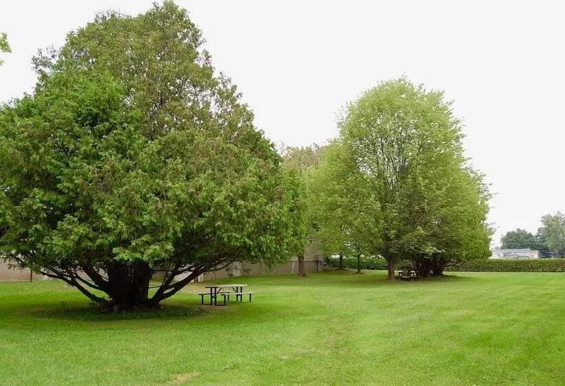 هتل T Bird Motor Inn