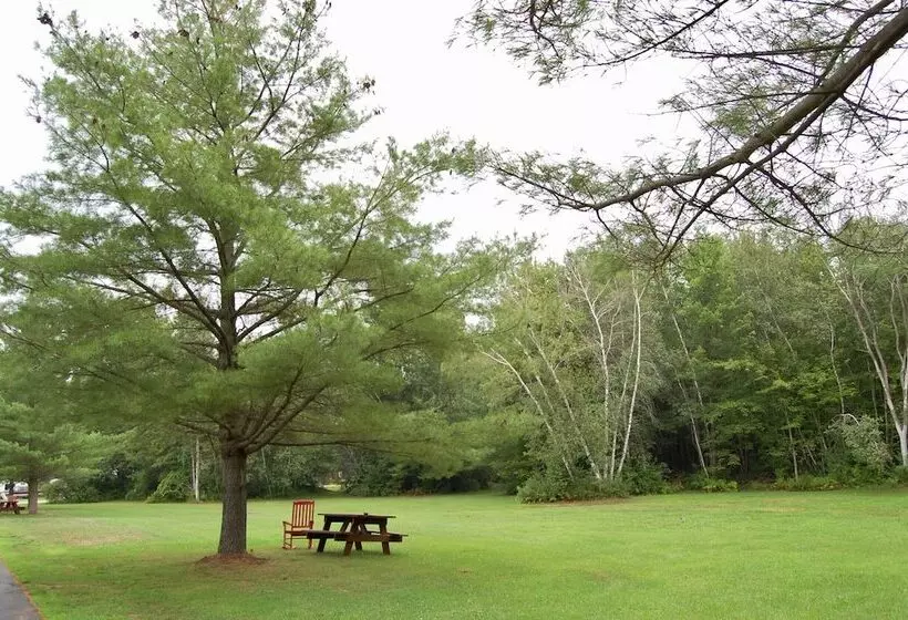 هتل T Bird Motor Inn